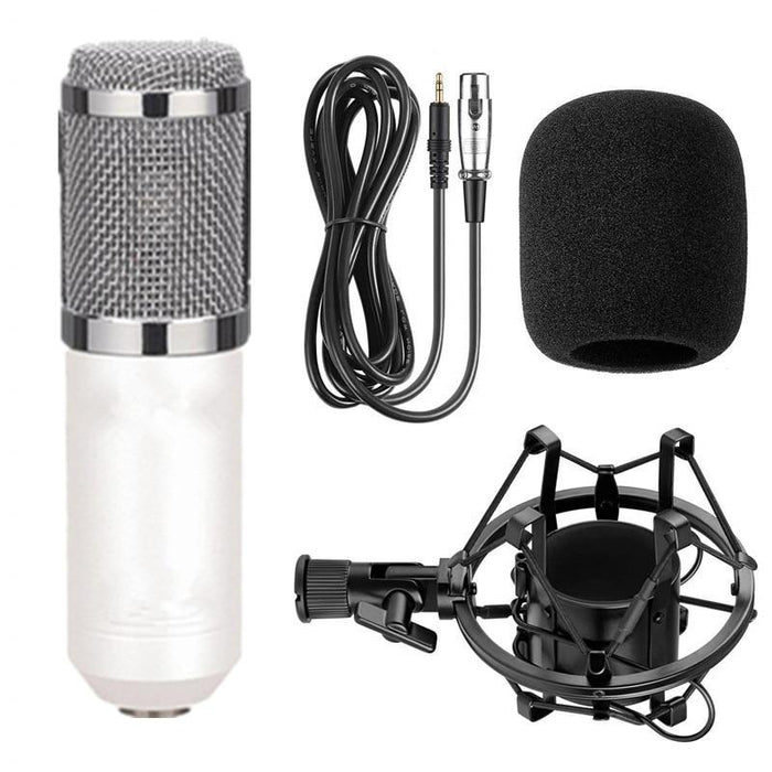 BM800 Microphone Condenser Set