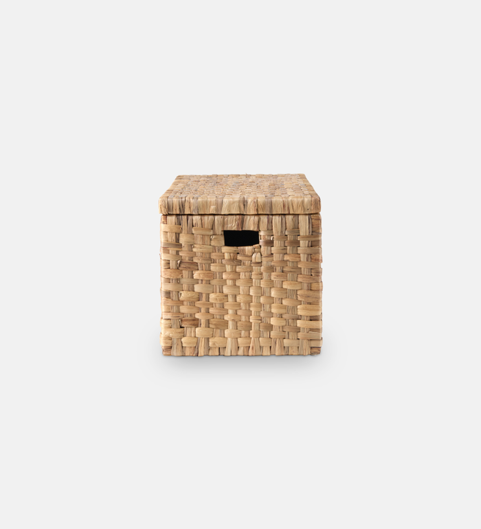 Donovan Trunk (84859)