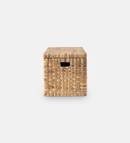 Donovan Trunk (84859)