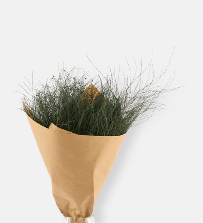 Forest Edge (102554)