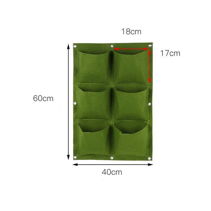 Green - 6 Trays