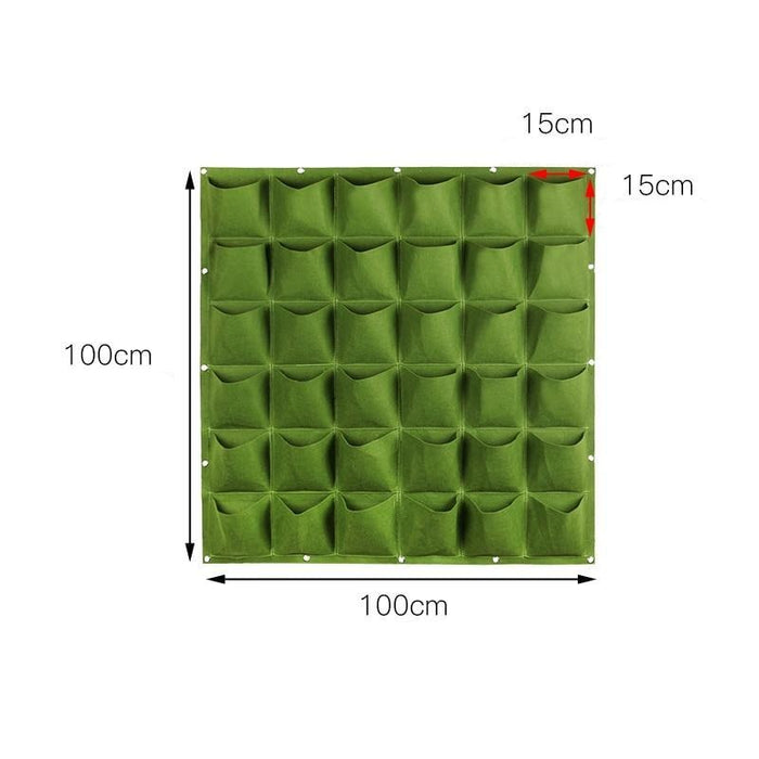 Green - 36 Trays