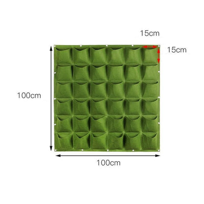 Green - 36 Trays