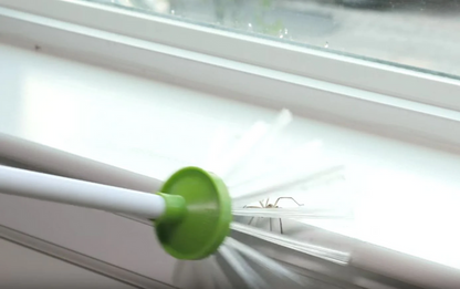 Insect catcher