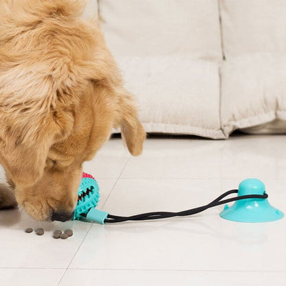 Interactive Dog Chewing Toy