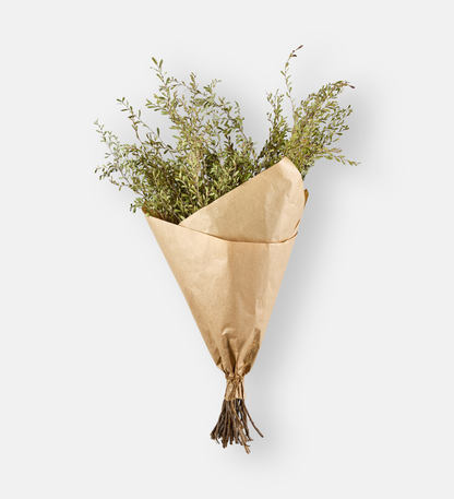 Meadow Myrtle (102954)