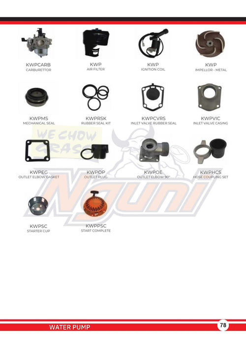 Nguni Water Pump – Ignition Coil