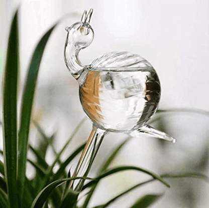 Self-watering Plant Bulb